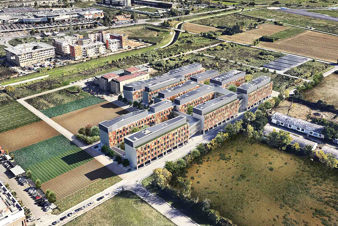 università di firenze