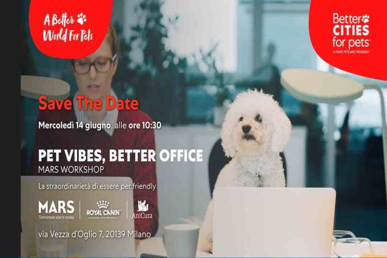 Mars | Pet vibes, better office