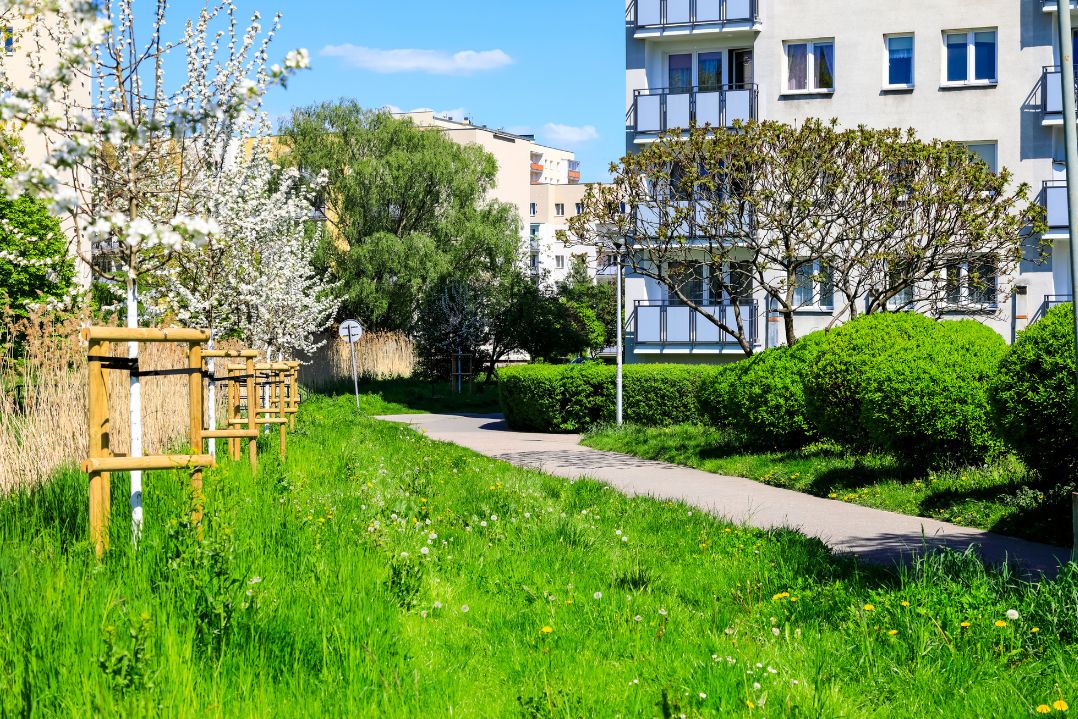 cohousing