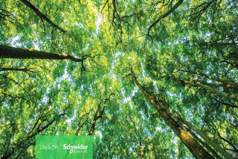 Per il terzo anno Schneider Electric prima nella classifica Gartner top 25 supply chain