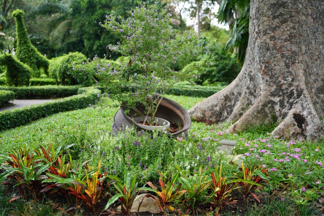 giardino italiana