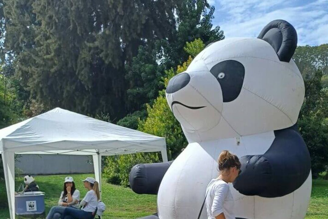 wwf urban nature